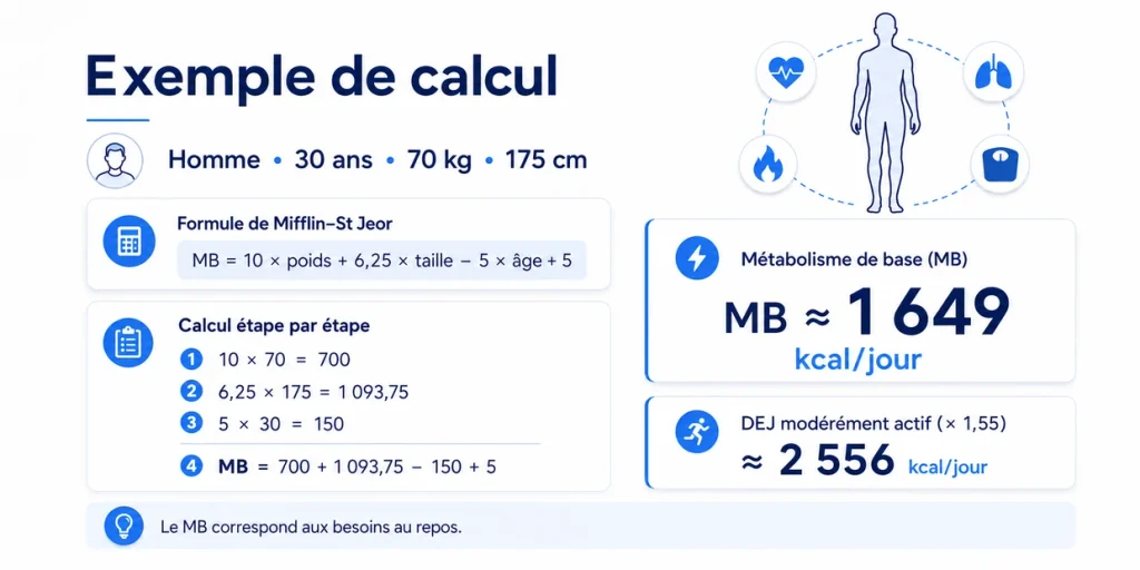 Exemple de calcul du métabolisme de base avec la formule de Mifflin-St Jeor