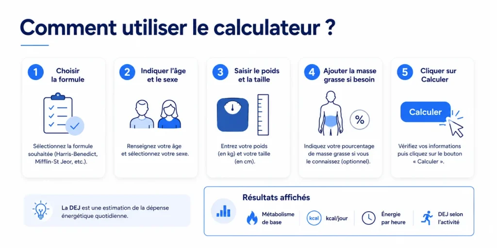 Étapes pour utiliser le calculateur de métabolisme de base